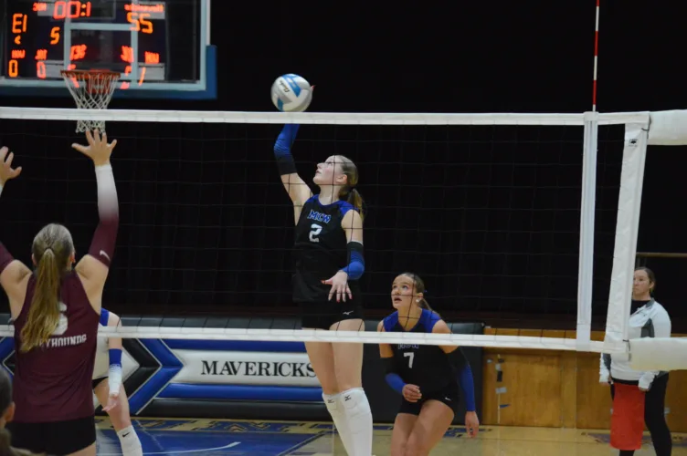 Martin County West topples New Ulm Cathedral